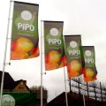 pole-flags-digital-print (2).jpg